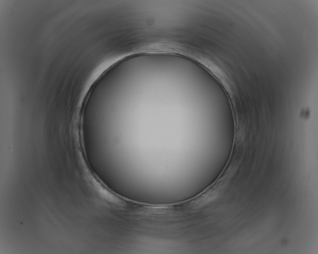 X0000094431486200711211421