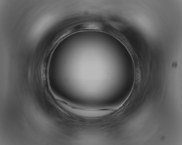 X0000094431487200711211421