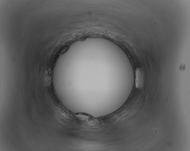 X0000094431491200711211421