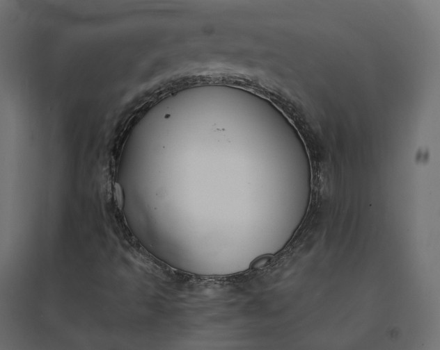 X0000094431493200711211421