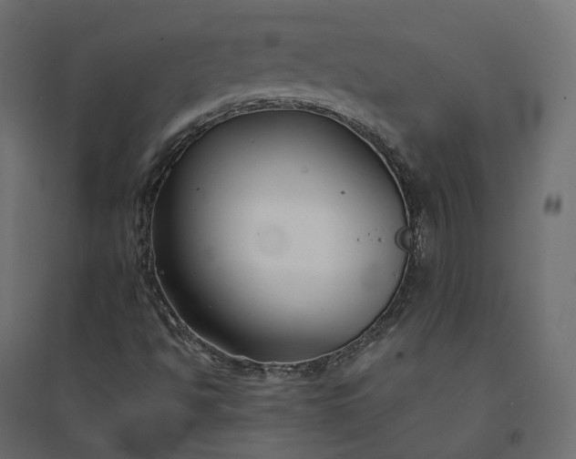 X0000094431494200711211421
