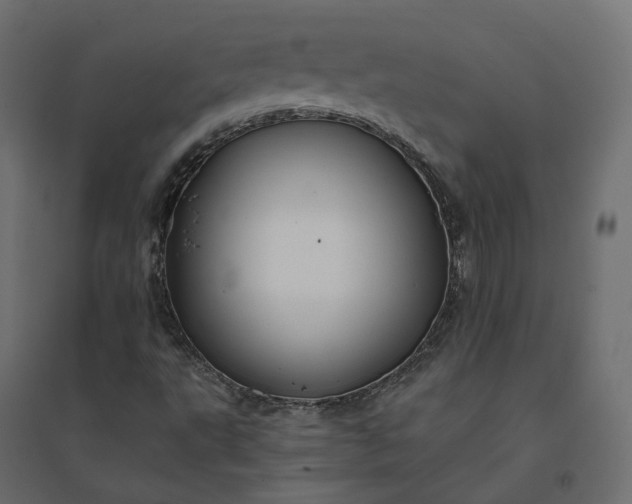 X0000094431495200711211421