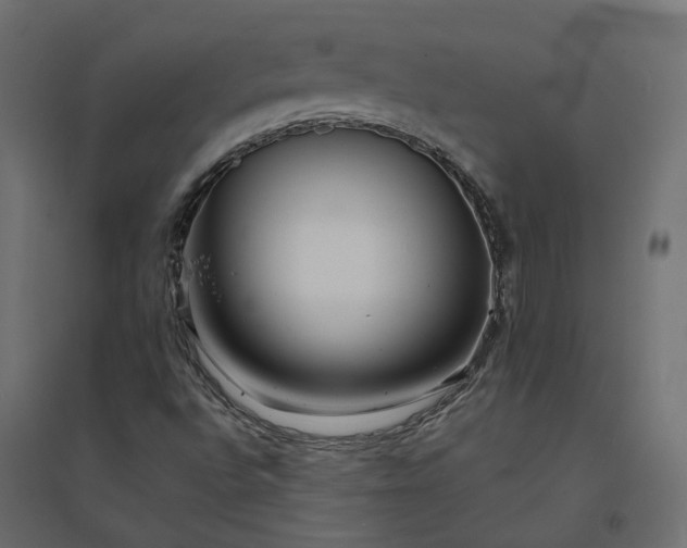 X0000094431496200711211421