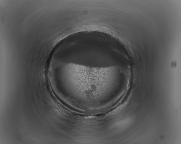 X0000094431497200711211421