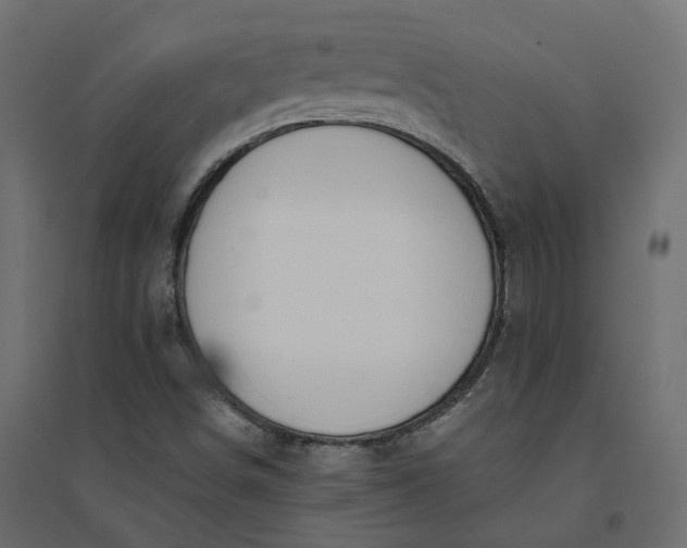 X0000094431498200711211421