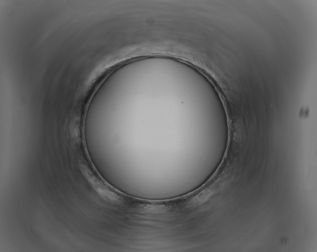 X0000094431499200711211421