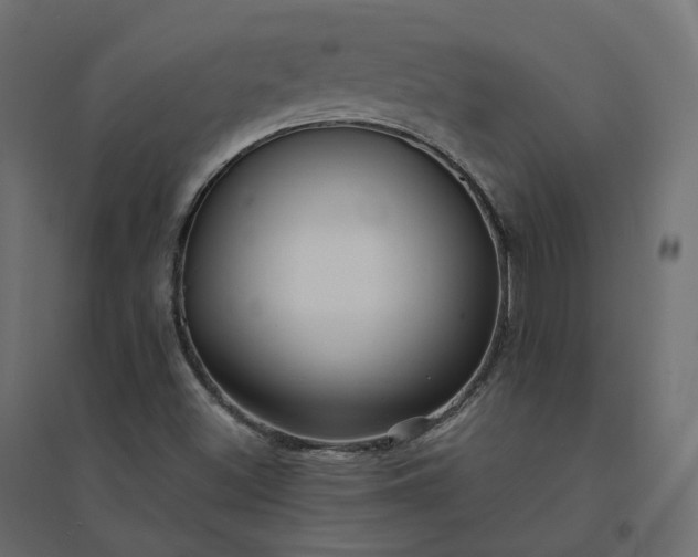 X0000094431500200711211421