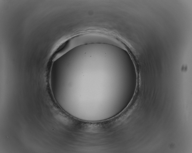 X0000094431501200711211421