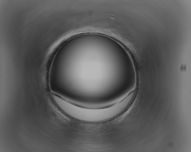 X0000094431502200711211421