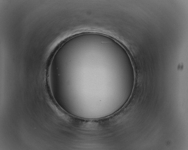 X0000094431503200711211421