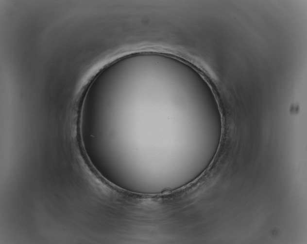 X0000094431504200711211421