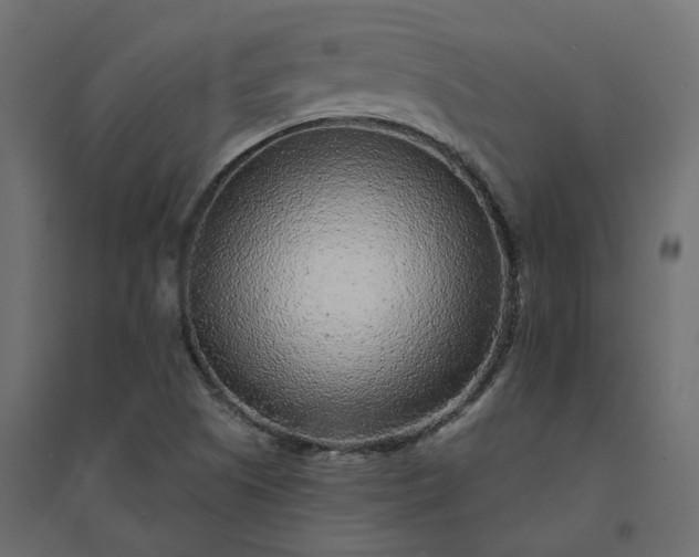 X0000094431505200711211421