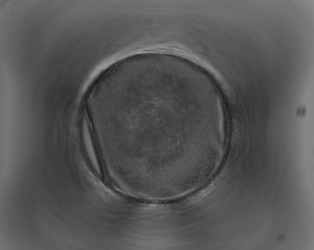 X0000094431506200711211421