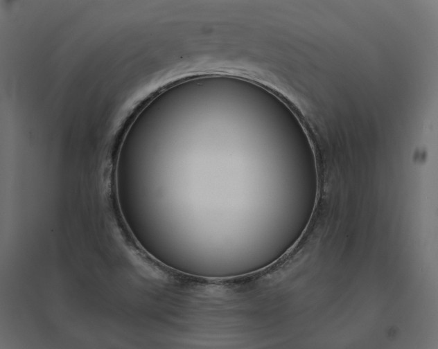X0000094431507200711211421