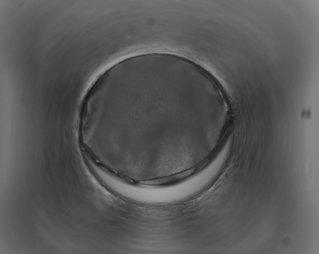 X0000094431508200711211421