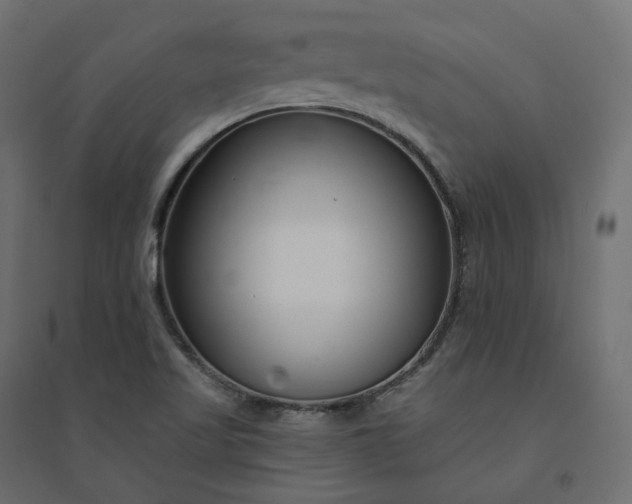 X0000094431509200711211421