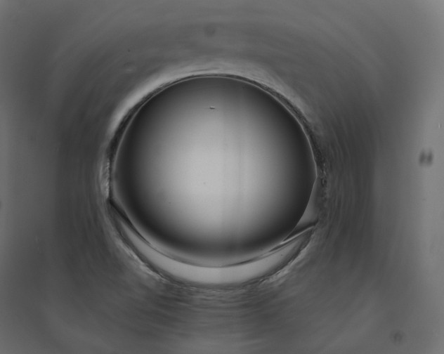 X0000094431510200711211421