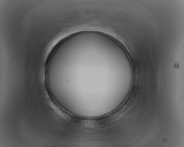 X0000094431511200711211421
