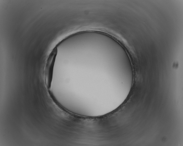 X0000094431512200711211421