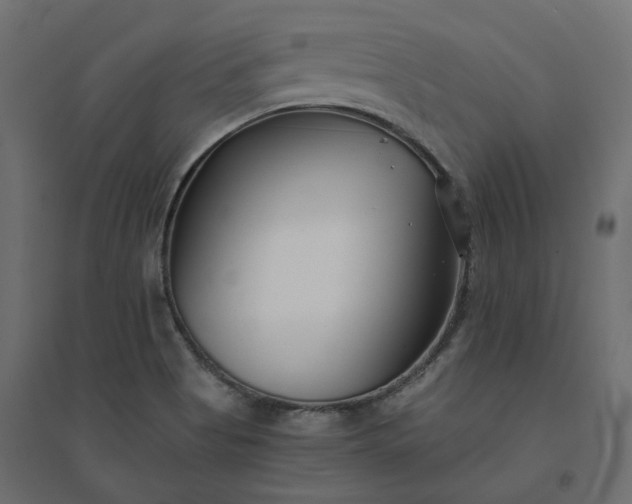 X0000094431513200711211421