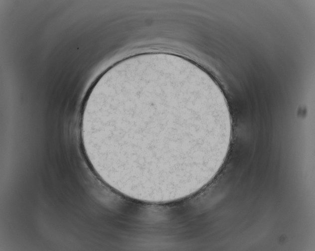X0000094431514200711211421