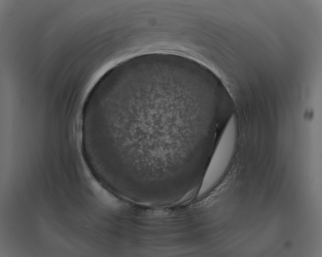X0000094431515200711211421