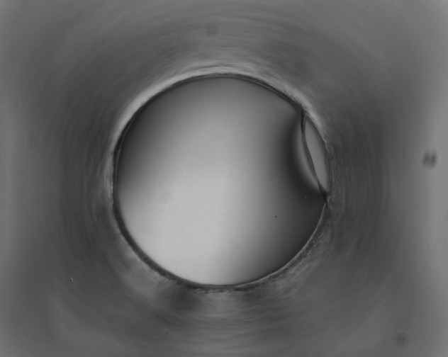 X0000094431516200711211421