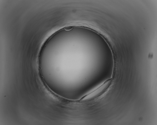 X0000094431517200711211421