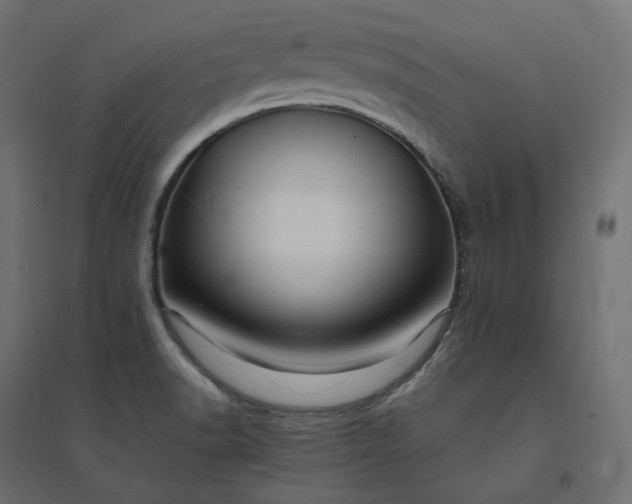 X0000094431518200711211421