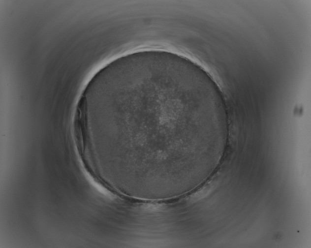 X0000094431519200711211421