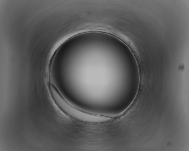 X0000094431520200711211421
