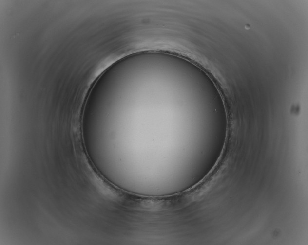 X0000094431521200711211421
