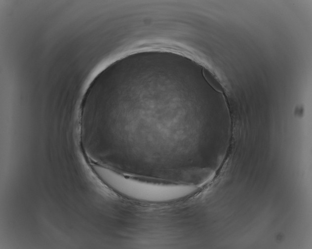 X0000094431522200711211421