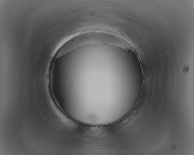 X0000094431523200711211421
