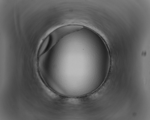 X0000094431525200711211421