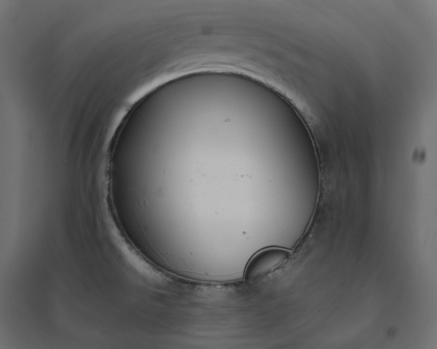 X0000094431526200711211421