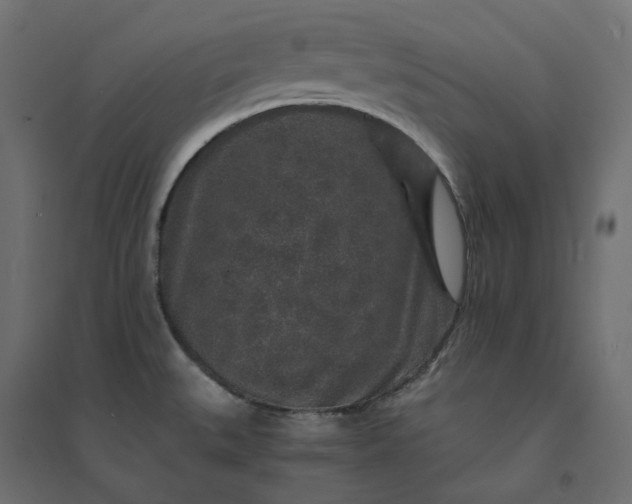 X0000094431527200711211421