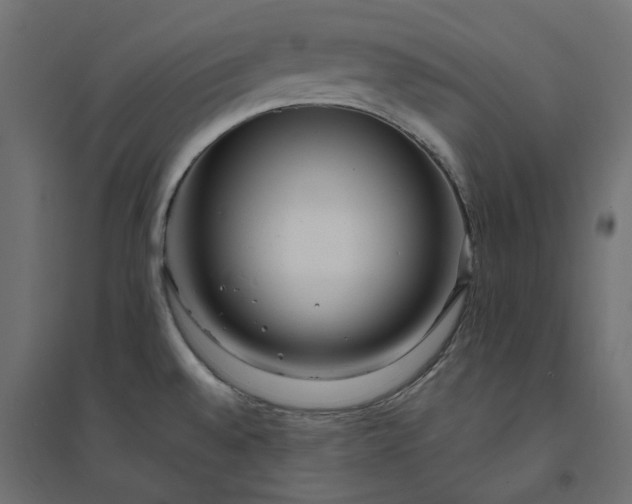 X0000094431528200711211421