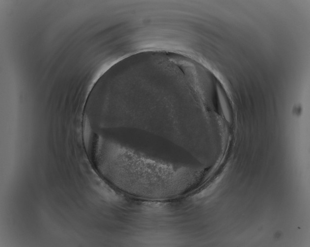 X0000094431529200711211421