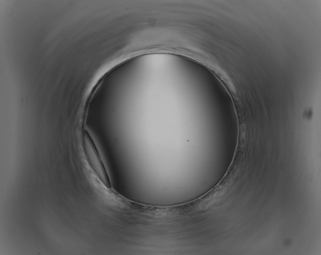 X0000094431530200711211421
