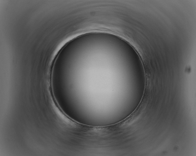 X0000094431531200711211421