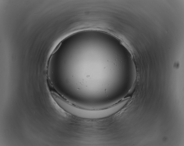 X0000094431532200711211421