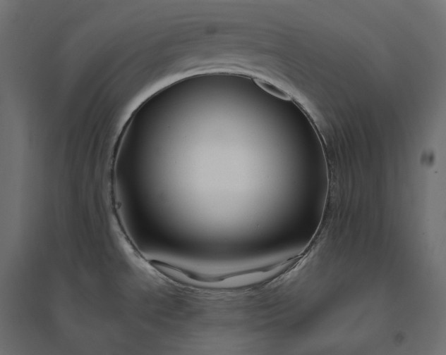 X0000094431534200711211421