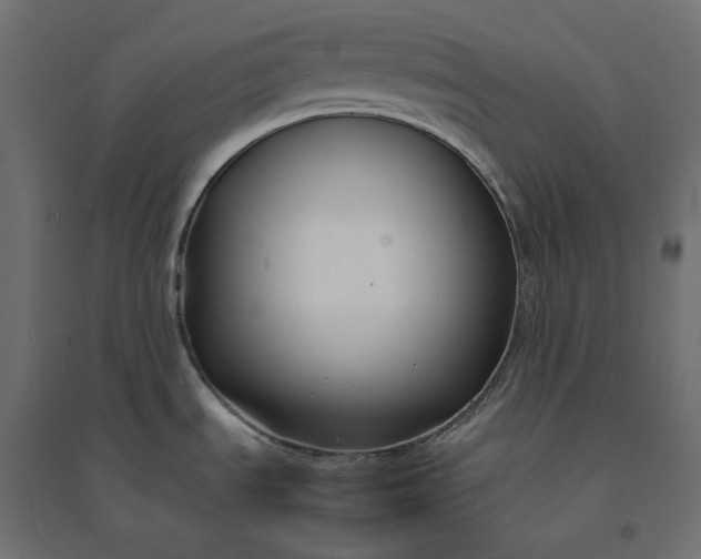 X0000094431535200711211421