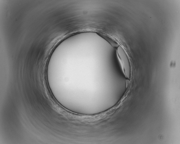 X0000094430001200711291544