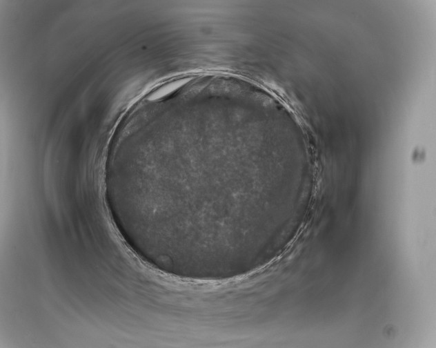 X0000094430002200711291543