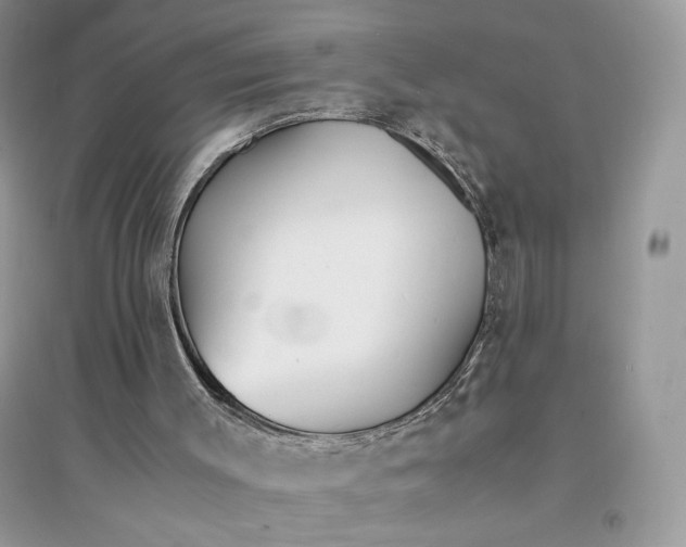 X0000094430003200711291543