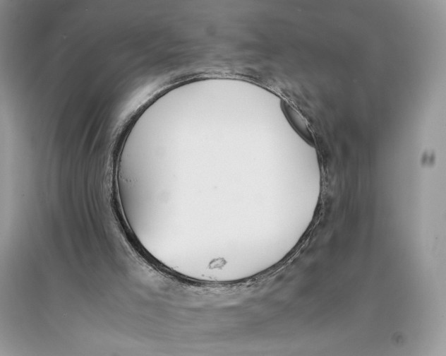 X0000094430005200711291543