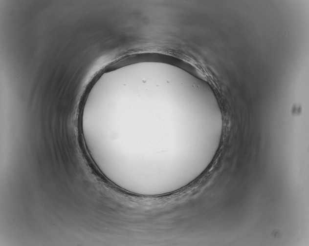 X0000094430006200711291543