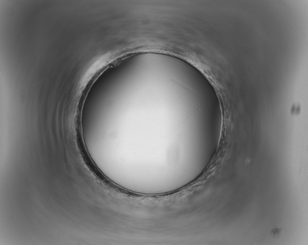 X0000094430007200711291543